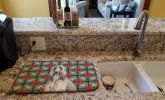 Afghan Hound Christmas PoinsettIas Dish Drying Mat Absorbent Dish Drying Mat Pad for Kitchen Counter Dish Drainer Mat for Countertop, 14 x 21"