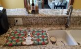 Red Merle Australian Shepherd Christmas PoinsettIas Dish Drying Mat Absorbent Dish Drying Mat Pad for Kitchen Counter Dish Drainer Mat for Countertop